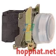 PUSHBUTTON - XB4BP21